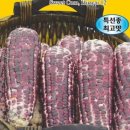 진양원예사 이미지