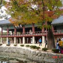 산청한의학박물관 이미지