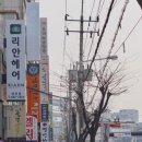 리안헤어평택안중점 이미지
