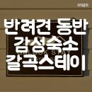 갈곡스테이 | [경주/천북] 반려견 동반 숙소 - 갈곡스테이 솔직후기