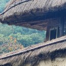 양동리향유 이미지