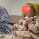 지후떡뻥 솔직 후기, 핫딜마다 쟁여두는 템