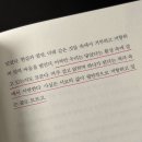 아우토슈타트(주) 북대구지점 | 16. 어쩌면 우리는 닿았다는 환상 속에 살고 있는지도 모른다