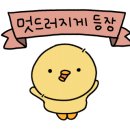 디델리(서면점) 이미지