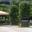 수창빌딩 이미지