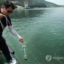 거제-거제-거제-비상-30 이미지