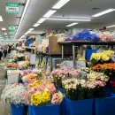 화신공판장 | W09_2. 리허설 촬영 가성비 셀프부케 준비, 양재꽃시장 후기 (+ 가격정보, 꿀팁)