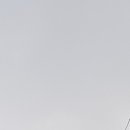 동구빌딩 이미지