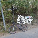 2024년11월6일(수) 남산타운-해병대산 72km 이미지