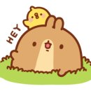 피치스주유소 빙고점 이미지