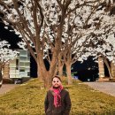 연세대학교 경영전문대학원 | [연세대MBA] 연세대학교 경영전문대학원 2025학년도 Advanced MBA 2차 신입생 입학 컨설팅 안내