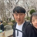 경화어시장 네이버블로그