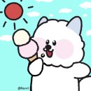 [레자미오네뜨] 초코 크루키 / 화이트 크루키 내돈내산 솔직 후기
