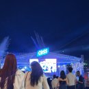 경미치킨 | 2026 대구치맥페스티벌 후기, 내년에 가기 전 꼭 알아야 할 주차·자리·먹거리 꿀팁