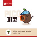 더리터아이