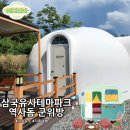 일연펜션 | 아이와 함께 떠나는 군위 여행, 삼국유사 테마파크 역사돔 군위방 후기