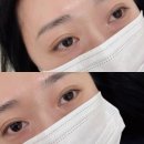 장산뷰티 | 해운대 장산 영양 속눈썹펌 후기 헤브뷰티