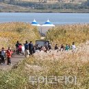 달빛 보부상 투어코리아