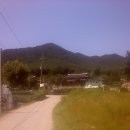 산내과수