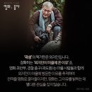 맥거핀 티스토리