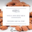 용현견과