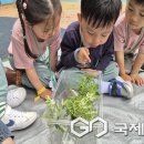 금왕유치원 이미지