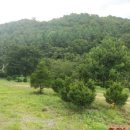 맑은정보공인중개사사무소 이미지