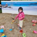 잔디놀이터 이미지