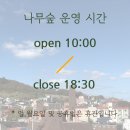 문화예술협동조합 나무숲 이미지