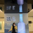 다래유통 | 처음처럼 새로 브랜드체험관 후기