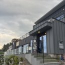 퍼피앤독 이미지