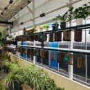 다인 추어탕 이미지