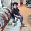 강릉이용소 Daum카페