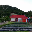 상1리 마을회관 이미지