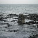 삼달2리 이미지