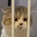 인헌동-8 이미지