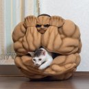 한마