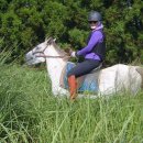 오케이승마장 이미지