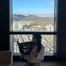 선덴탈 | 서울 5성급 호텔 추천 :: 풀만이스트폴 호캉스 솔직 후기