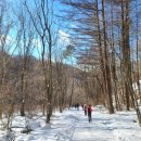 수림1교 이미지