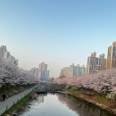 계양경기장-서운체육공원 이미지