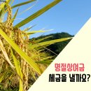 문정세무회계컨설팅 이미지
