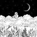 화이트코튼 이미지