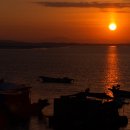 해맞이축제 이미지