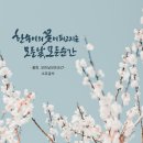 모든날