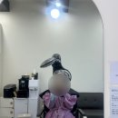 모드니헤어에서 염색, 단백질 케어 받은 후기 (마석역 주변 미용실) 💇‍♀️ +5일차 경과