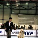 퍼피프린스 이미지