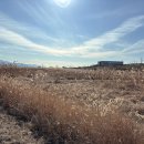 부곡공원길 | 여행일기_부곡로얄관광호텔(온천여행)