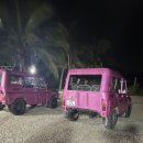 또또목장 | [나트랑 지프 투어] 판랑투어 해돋이 투어 후기 투어 코스 아침식사 카페 양떼목장