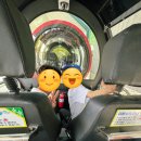 수곡목장 | [거제 숲소리공원] 아이랑 가볼 만한 곳 추천, 모노레일과 양 먹이주기 체험